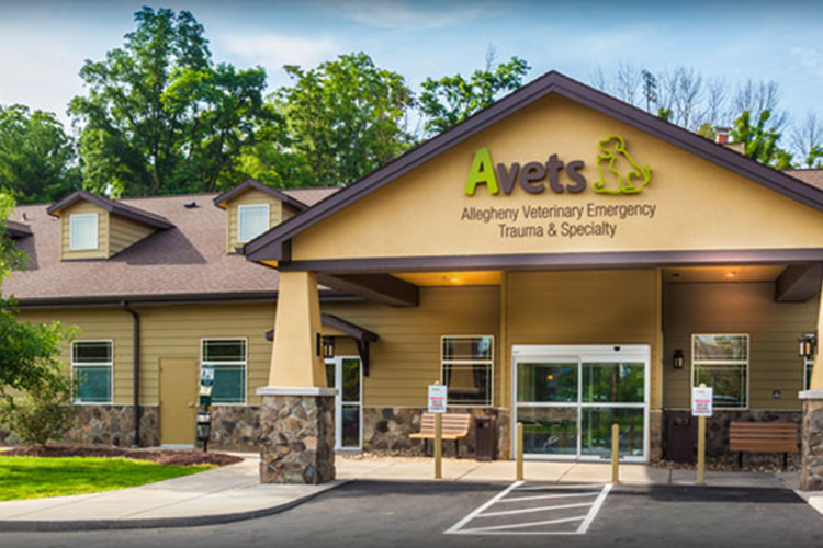 Allegheny Veterinary Emergency Trauma & Specialty